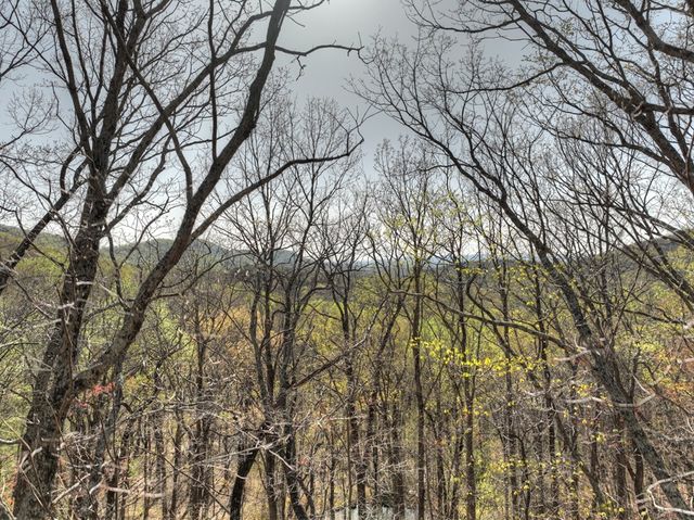 Lot 4 Wilderness Way, Ellijay, GA 30536