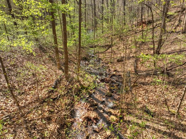 Lot 4 Wilderness Way, Ellijay, GA 30536
