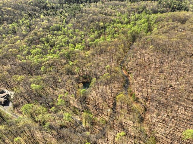 Lot 4 Wilderness Way, Ellijay, GA 30536
