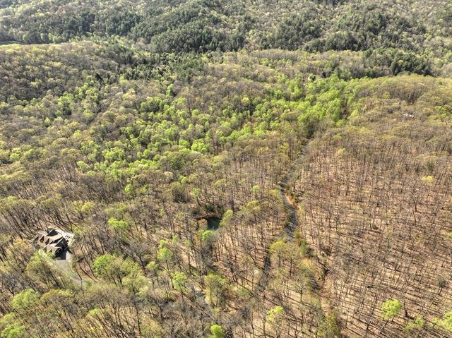 Lot 4 Wilderness Way, Ellijay, GA 30536