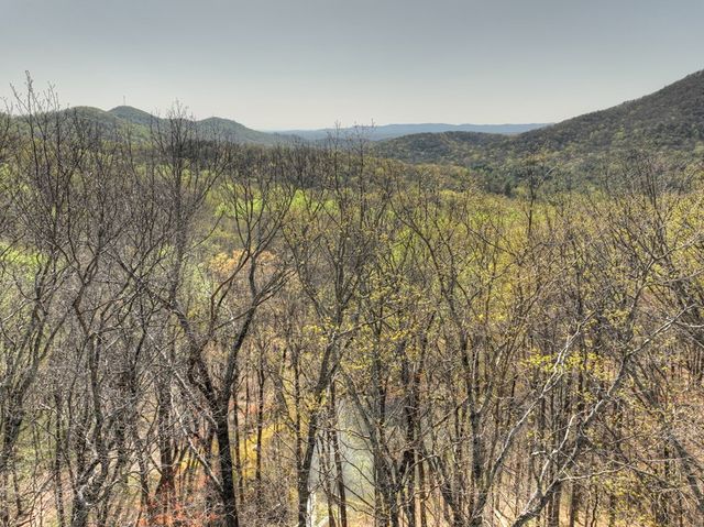 Lot 4 Wilderness Way, Ellijay, GA 30536