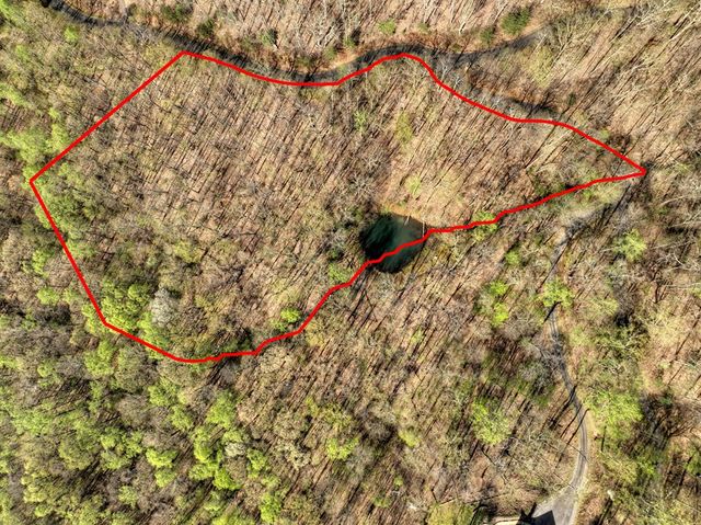 Lot 4 Wilderness Way, Ellijay, GA 30536