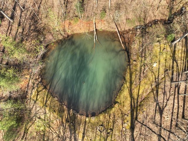 Lot 4 Wilderness Way, Ellijay, GA 30536