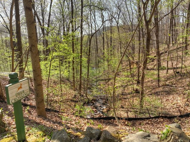 Lot 4 Wilderness Way, Ellijay, GA 30536
