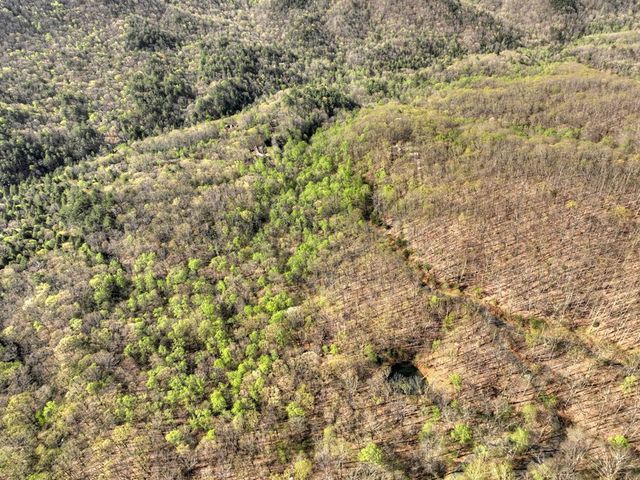Lot 4 Wilderness Way, Ellijay, GA 30536