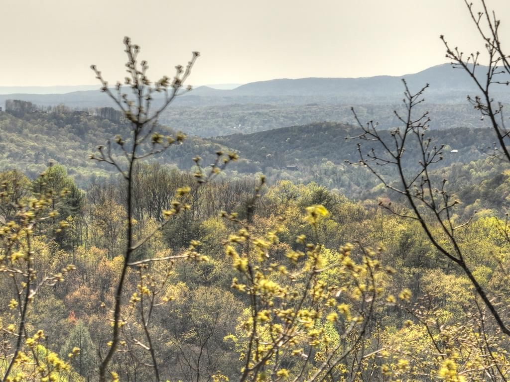 Lot 4 Wilderness Way, Ellijay, GA 30536