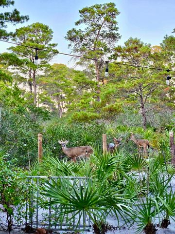 370 Ridge Road, Santa Rosa Beach, FL 32459