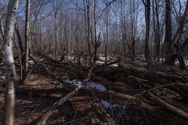 7874 475th Street, Rush City, MN 55069