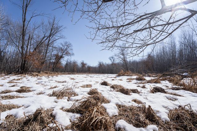 7874 475th Street, Rush City, MN 55069