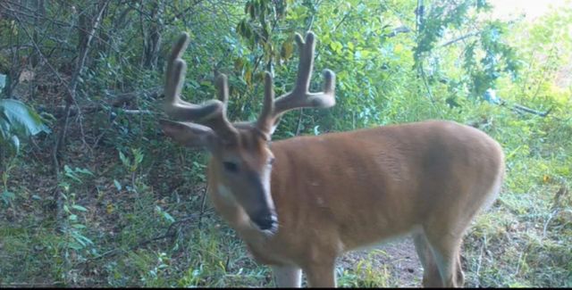 7874 475th Street, Rush City, MN 55069