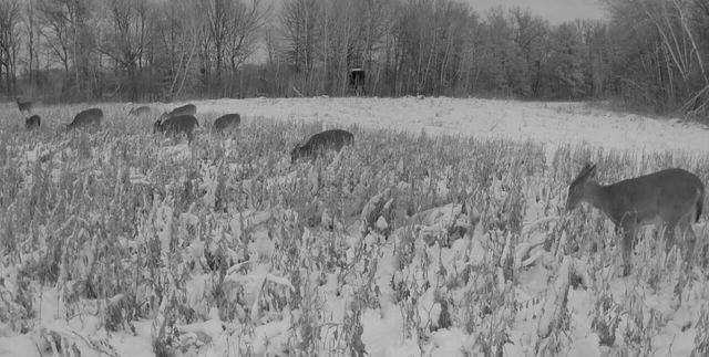 7874 475th Street, Rush City, MN 55069