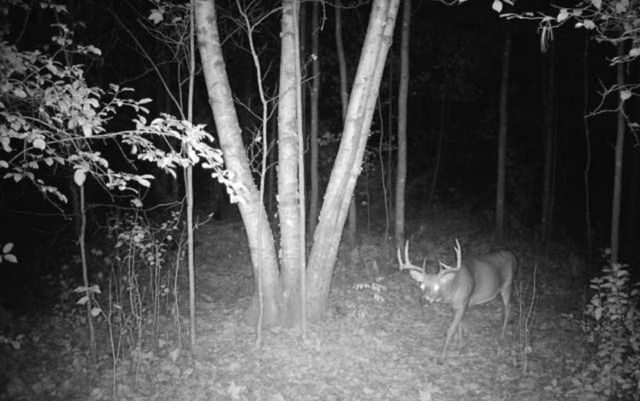 7874 475th Street, Rush City, MN 55069