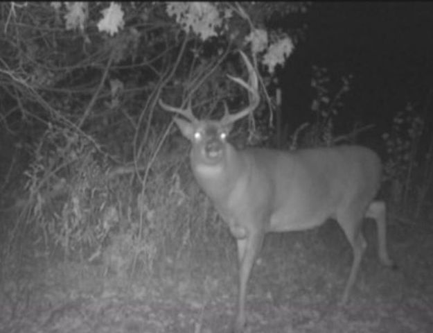 7874 475th Street, Rush City, MN 55069