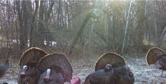 7874 475th Street, Rush City, MN 55069