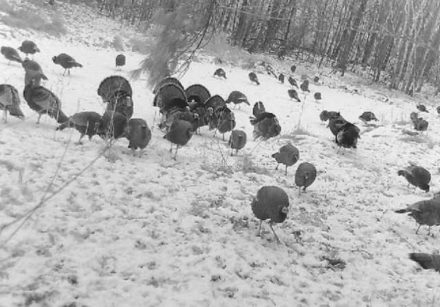 7874 475th Street, Rush City, MN 55069