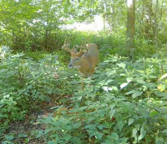 7874 475th Street, Rush City, MN 55069