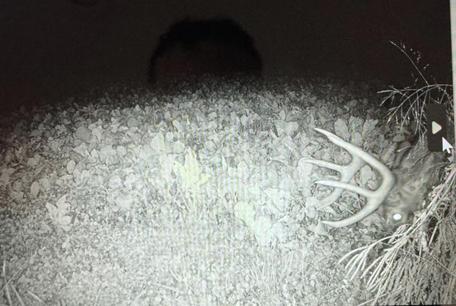 7874 475th Street, Rush City, MN 55069