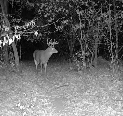 7874 475th Street, Rush City, MN 55069