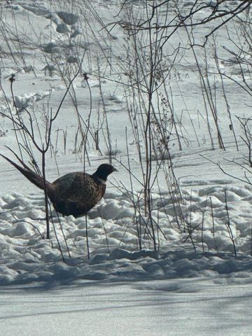 7874 475th Street, Rush City, MN 55069