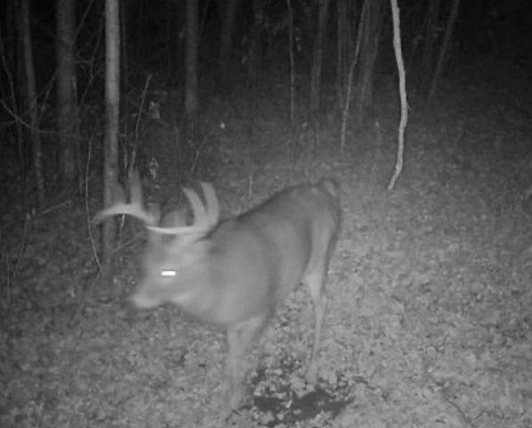 7874 475th Street, Rush City, MN 55069