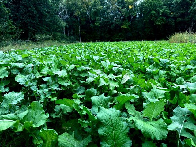 7874 475th Street, Rush City, MN 55069