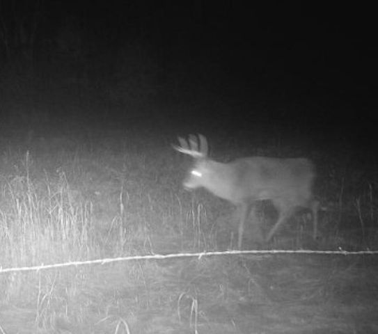 7874 475th Street, Rush City, MN 55069