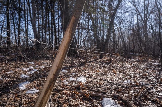 7874 475th Street, Rush City, MN 55069