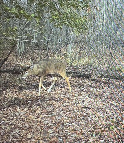 7874 475th Street, Rush City, MN 55069