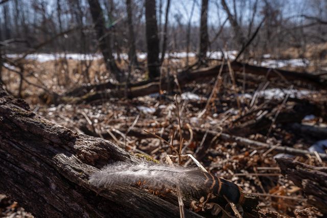 7874 475th Street, Rush City, MN 55069