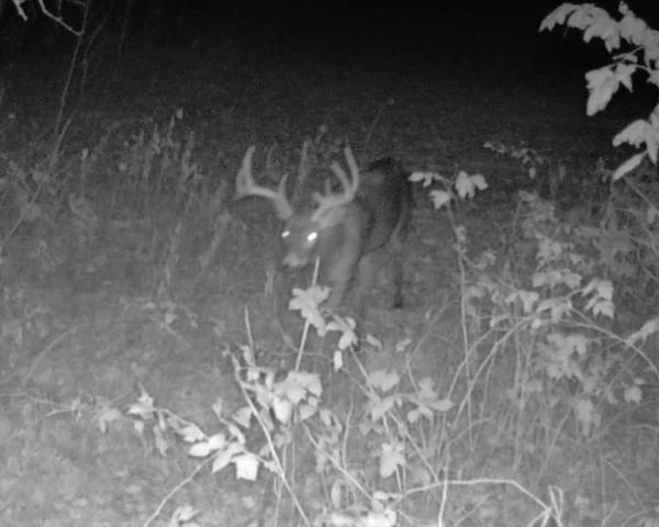 7874 475th Street, Rush City, MN 55069