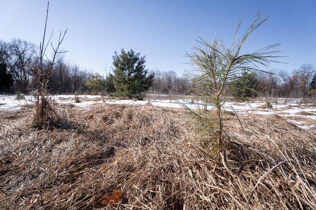 7874 475th Street, Rush City, MN 55069