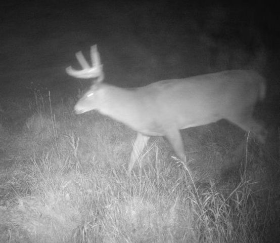 7874 475th Street, Rush City, MN 55069