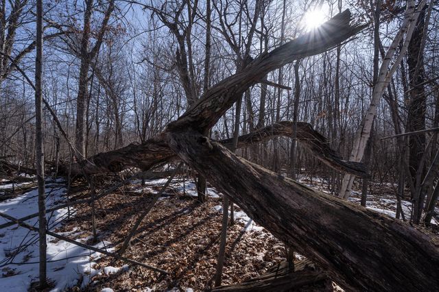 7874 475th Street, Rush City, MN 55069