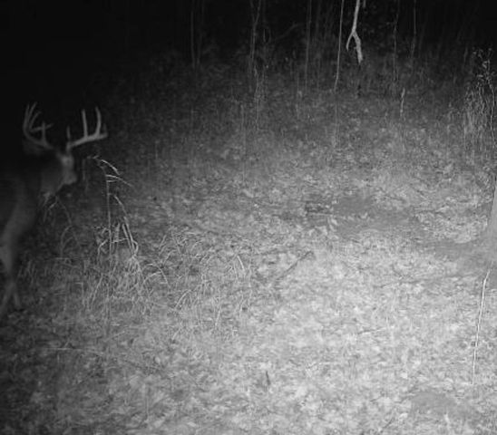 7874 475th Street, Rush City, MN 55069