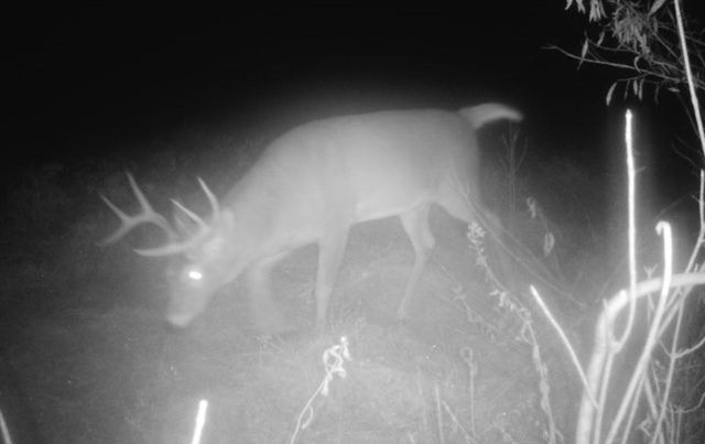 7874 475th Street, Rush City, MN 55069