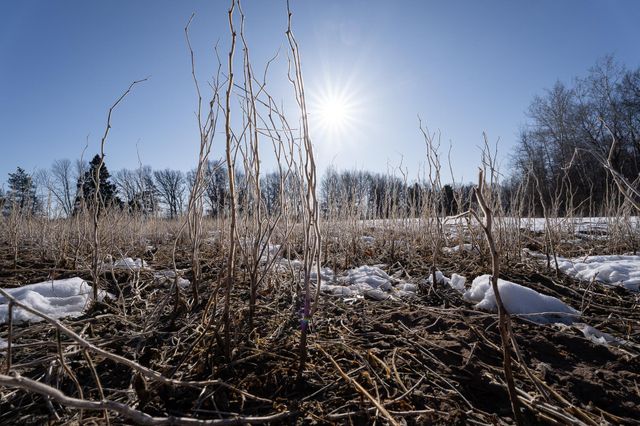 7874 475th Street, Rush City, MN 55069