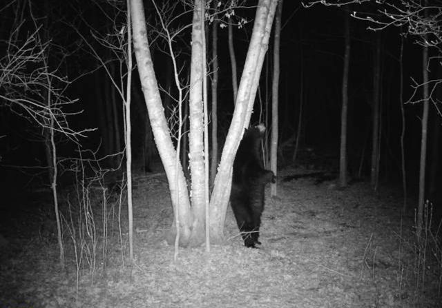 7874 475th Street, Rush City, MN 55069