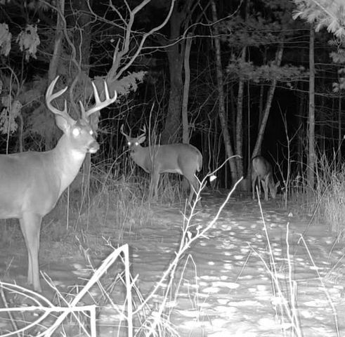 7874 475th Street, Rush City, MN 55069