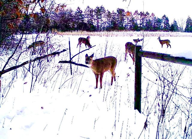 7874 475th Street, Rush City, MN 55069