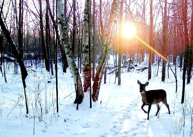 7874 475th Street, Rush City, MN 55069