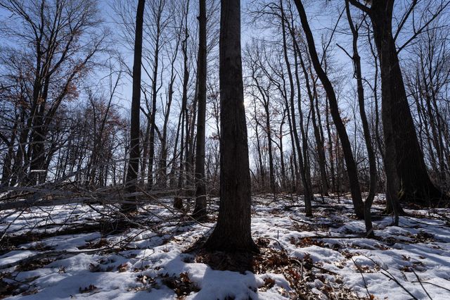 7874 475th Street, Rush City, MN 55069