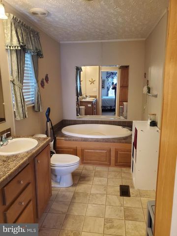 35105 BRACKEN CT, Pittsville, MD 21850