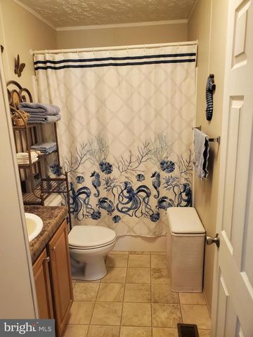 35105 BRACKEN CT, Pittsville, MD 21850