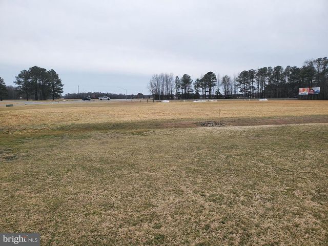 35105 BRACKEN CT, Pittsville, MD 21850