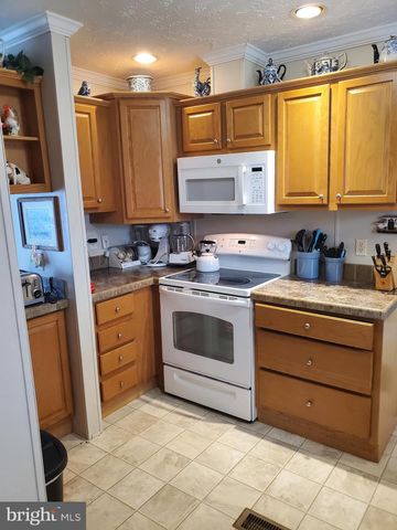 35105 BRACKEN CT, Pittsville, MD 21850