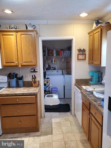 35105 BRACKEN CT, Pittsville, MD 21850