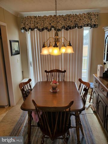 35105 BRACKEN CT, Pittsville, MD 21850