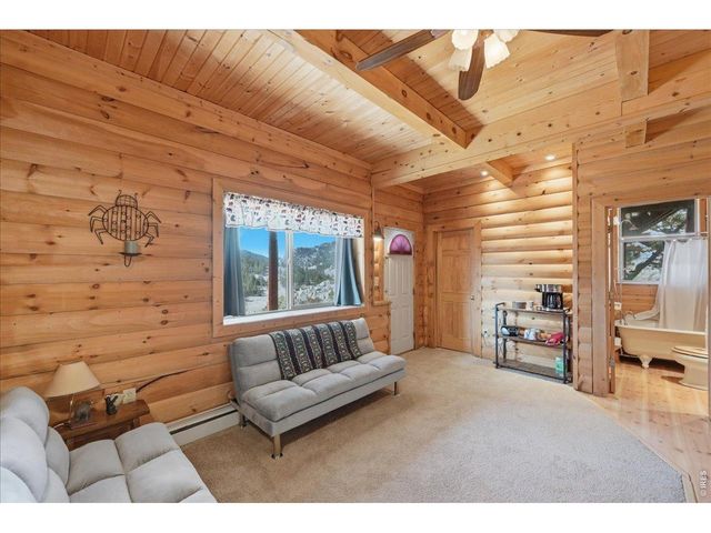 256 W Quandary Ct, Livermore, CO 80536