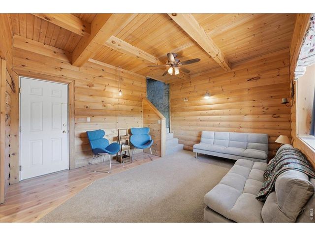 256 W Quandary Ct, Livermore, CO 80536