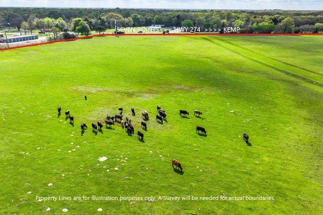 00 St Hwy 274, Kemp, TX 75143